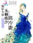 獨家專婚：無賴痞少高冷妻