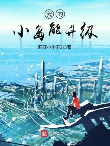 我的小島能升級