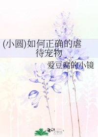 (小圓)如何正確的虐待寵物