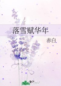 落雪賦華年