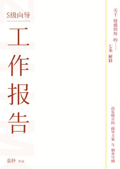 S級嚮導工作報告